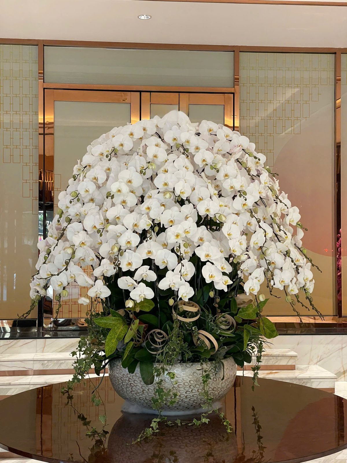 Chậu lan hồ điệp trắng ghép tròn 100 cành