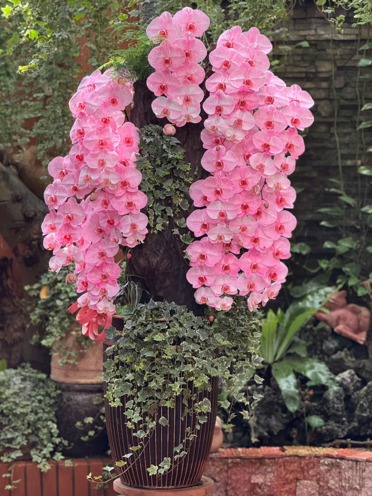 Lan Hồ Điệp Nhuộm Đỏ Ghép Chậu Nghệ Thuật