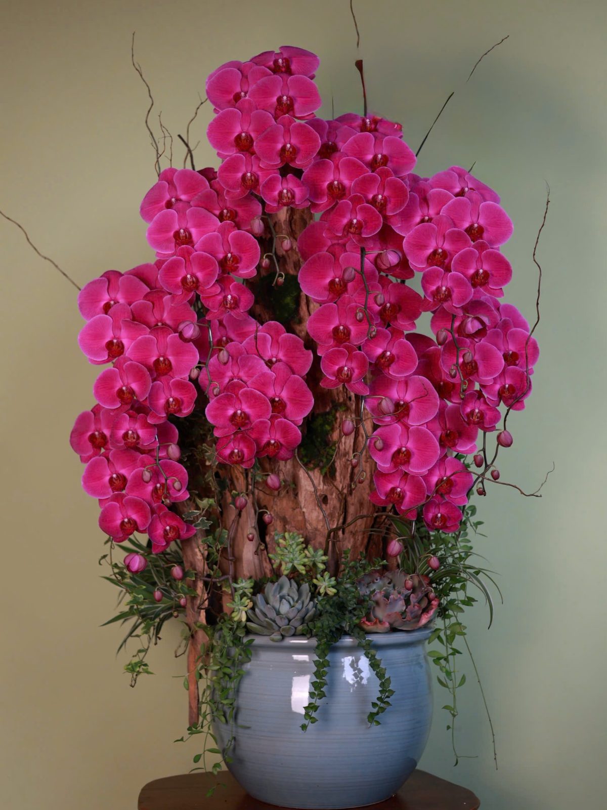 Lan Hồ Điệp Tím Ghép Chậu Nghệ Thuật