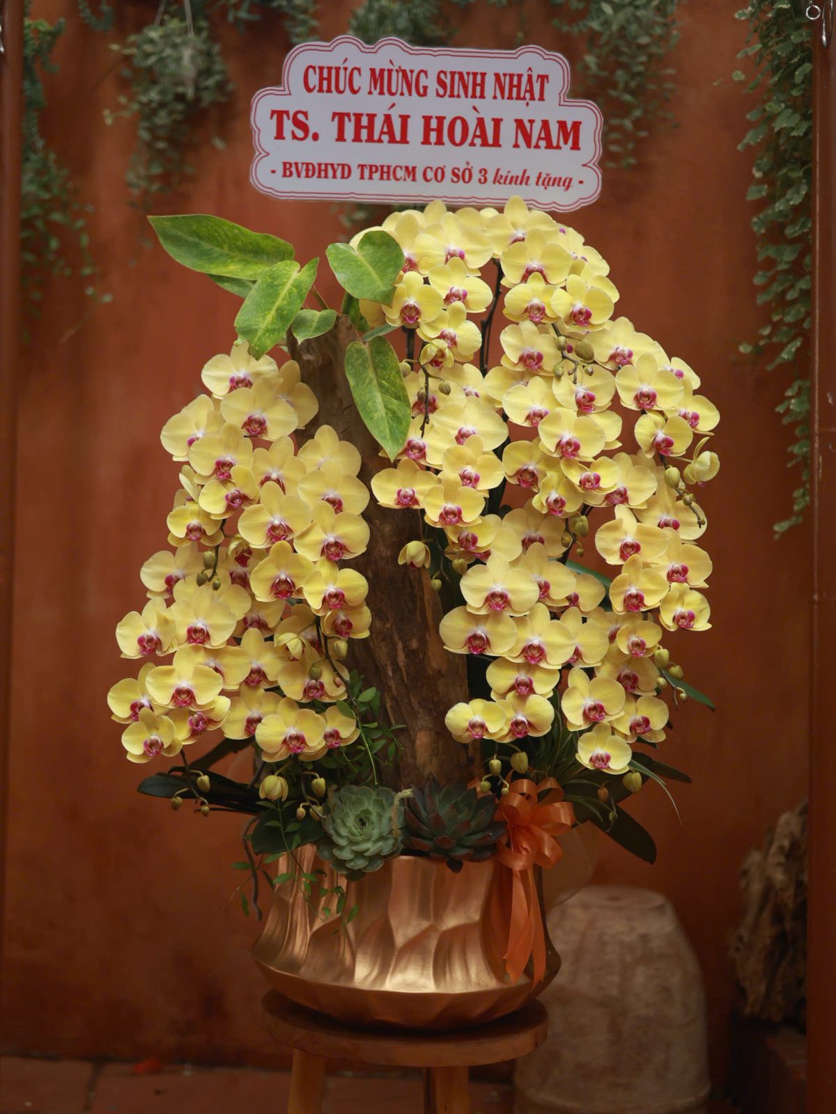 Lan Hồ Điệp Vàng Ghép Chậu Nghệ Thuật