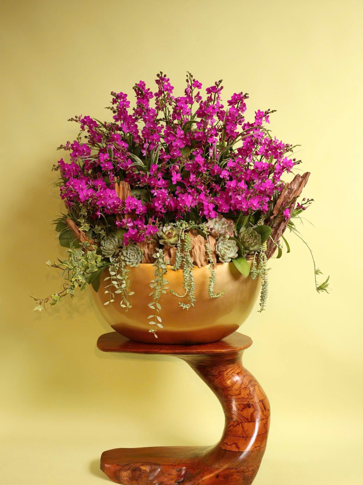 Tiểu Cảnh Hồ Điệp Mini Tím