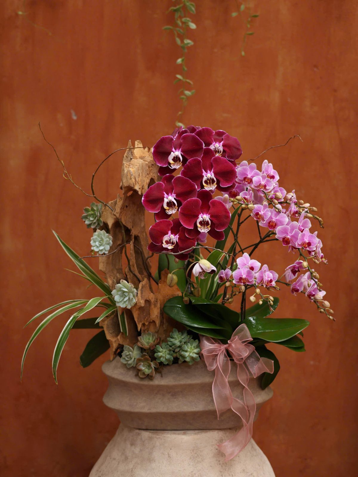 Tiểu cảnh Mix màu