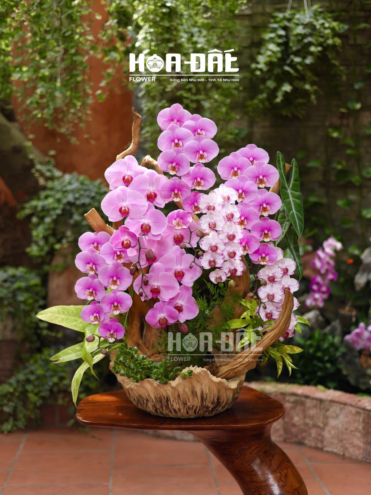 Tiểu Cảnh mix màu trên chậu gỗ Lá Sen