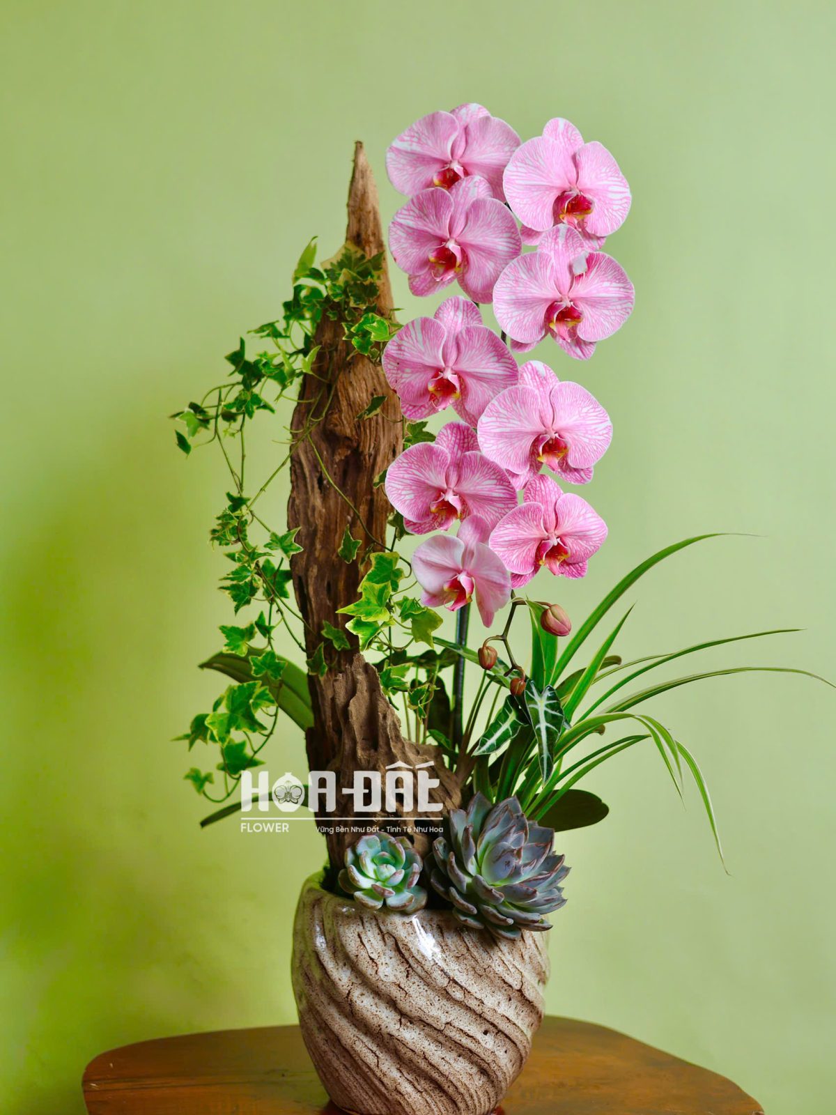 Lan nhuộm màu 1 cây mix lũa ( hoa theo đợt )