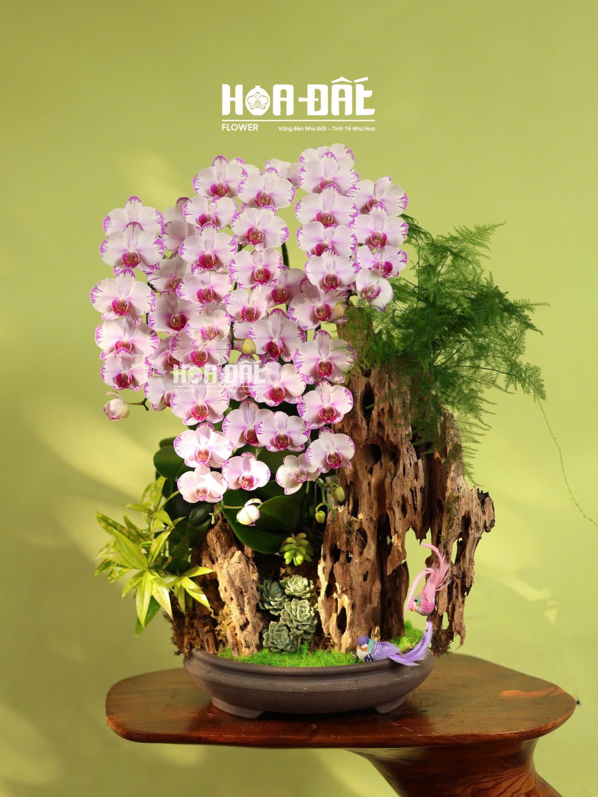 Tiểu Cảnh "Lan trên núi" (bao gồm 2 con chim )