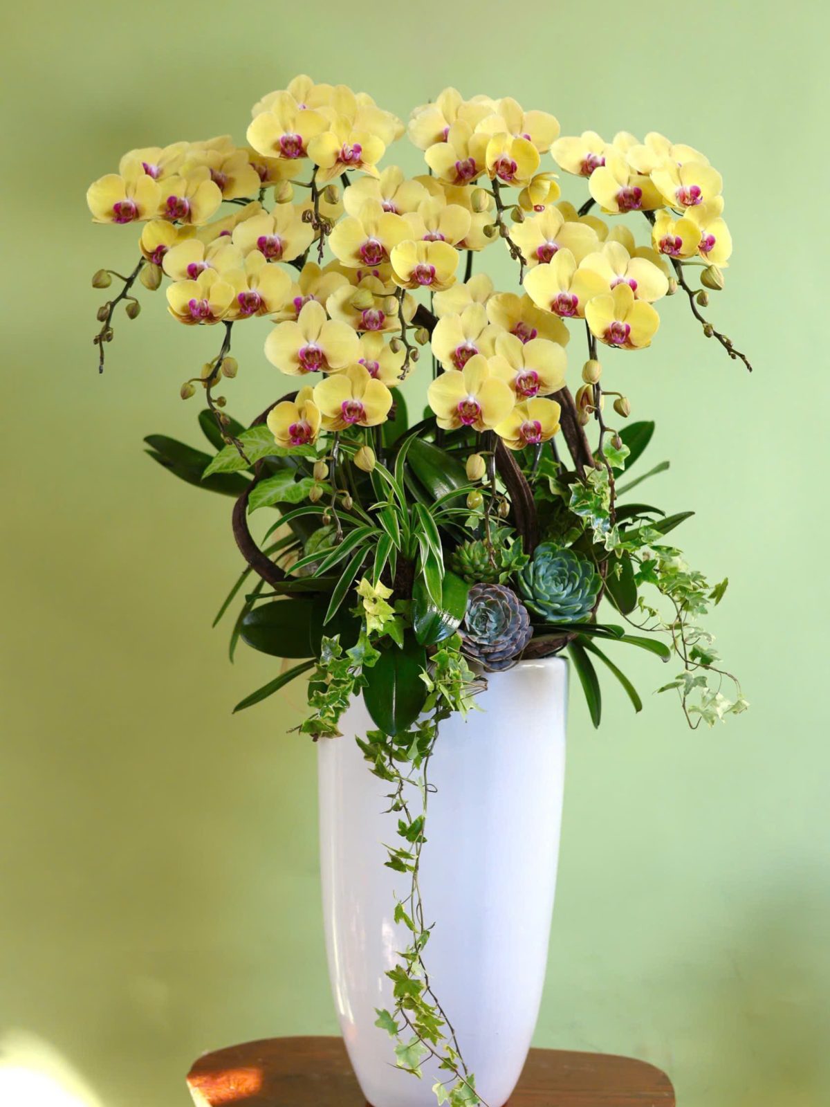 Lan Hồ Điệp vàng 9 cây trang trí cao cấp