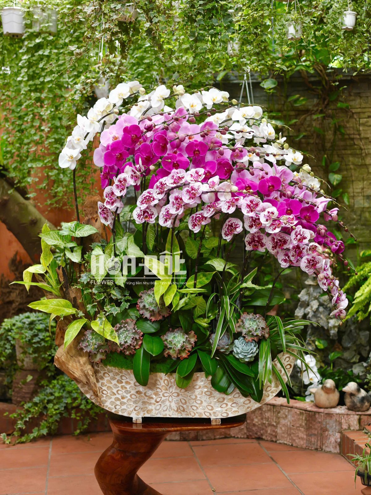 Thuận Buồm Xuôi Gió 25 cành cao cấp