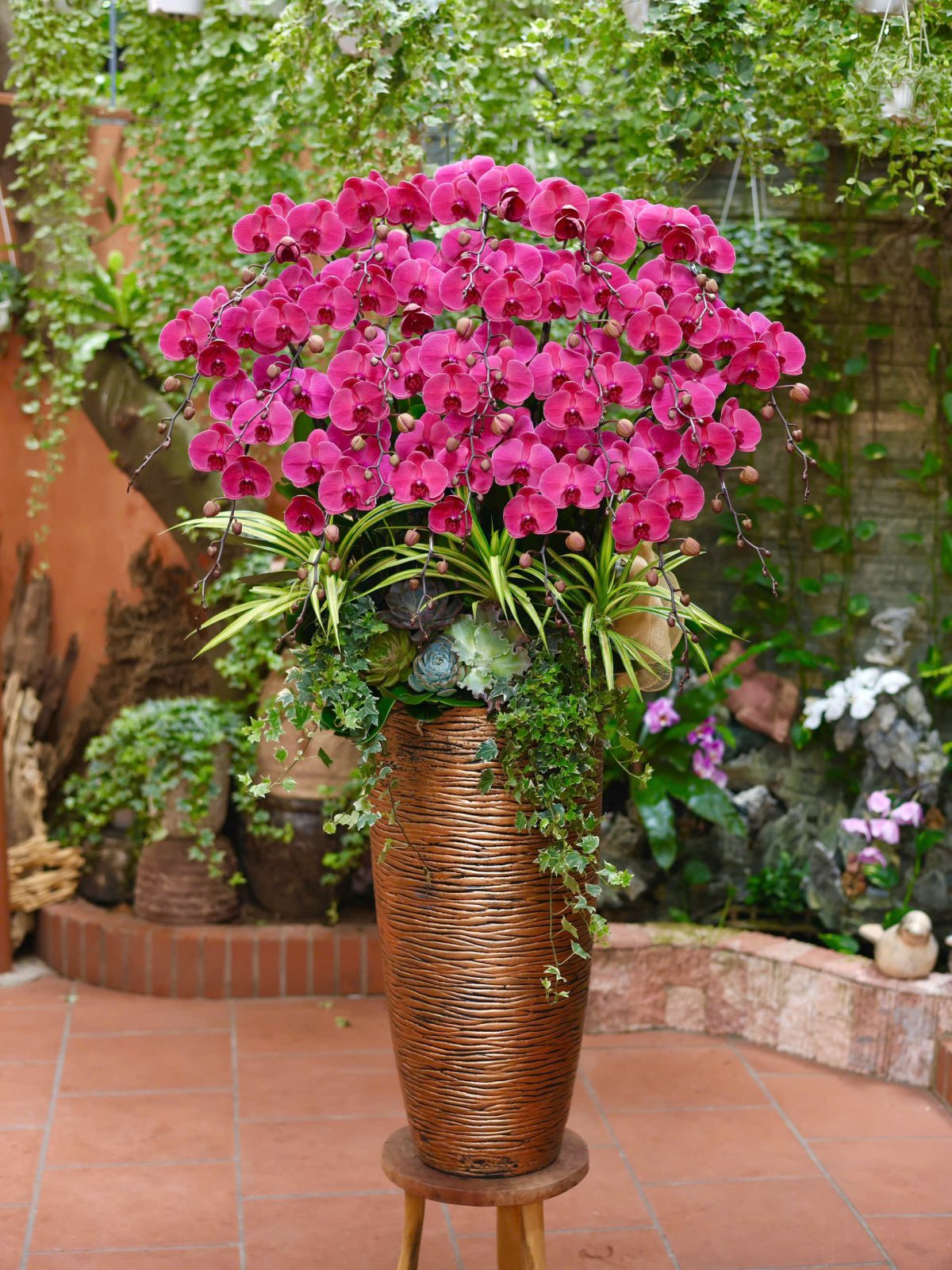 Chậu Lan Đỏ May Mắn 25 cành