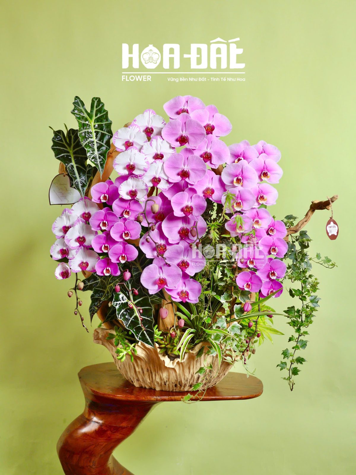 Hoa Lan Tiểu Cảnh Tặng Sinh Nhật Trong Chậu Gỗ Lá Sen