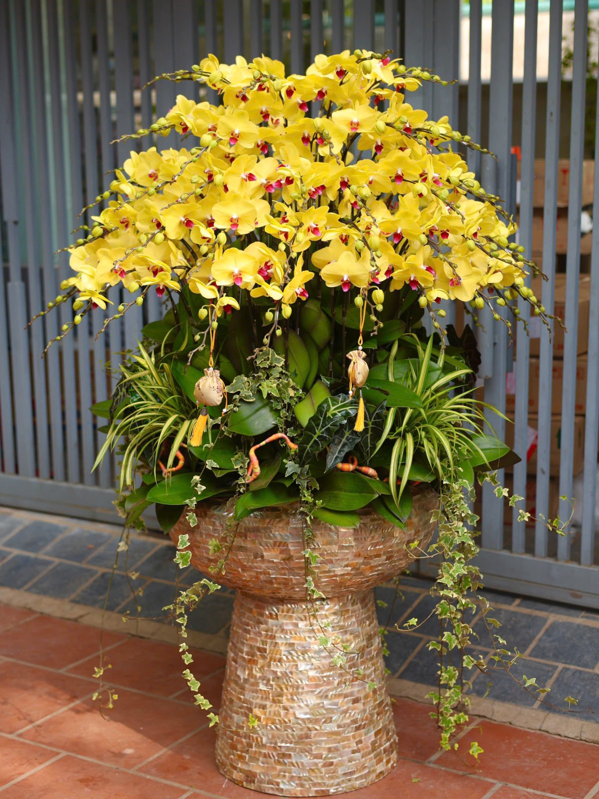 LAN HỒ ĐIỆP CAO CẤP 68 CÀNH LỘC PHÁT