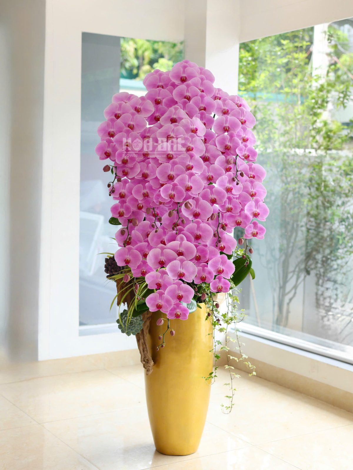 LAN HỒ ĐIỆP HỒNG QUỐC DÂN CHIỀU CAO 2 MÉT