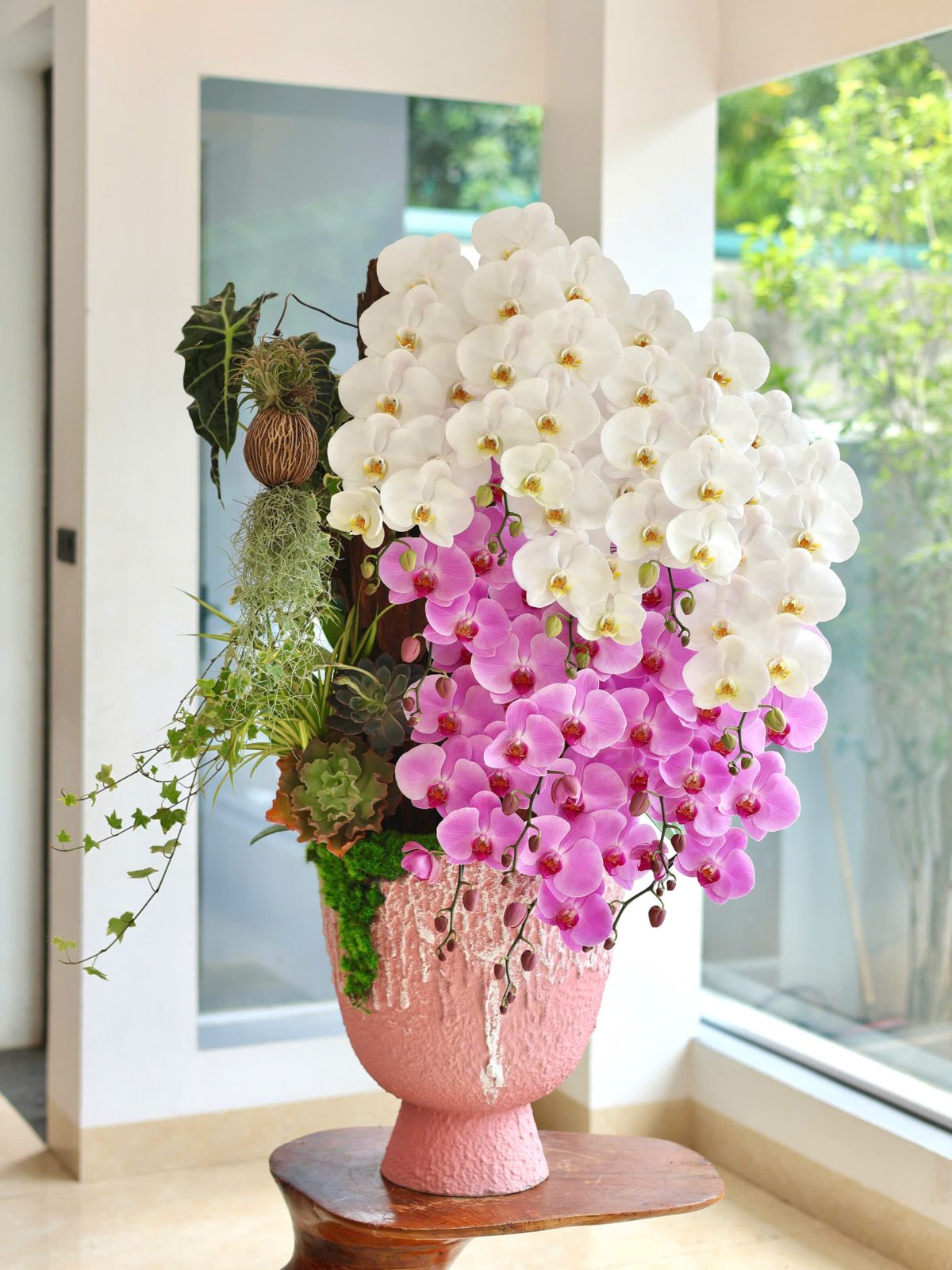 LAM HỒ ĐIỆP MIX MÀU HIỆN ĐẠI KẾT HỢP CHẬU LY CAO CẤP